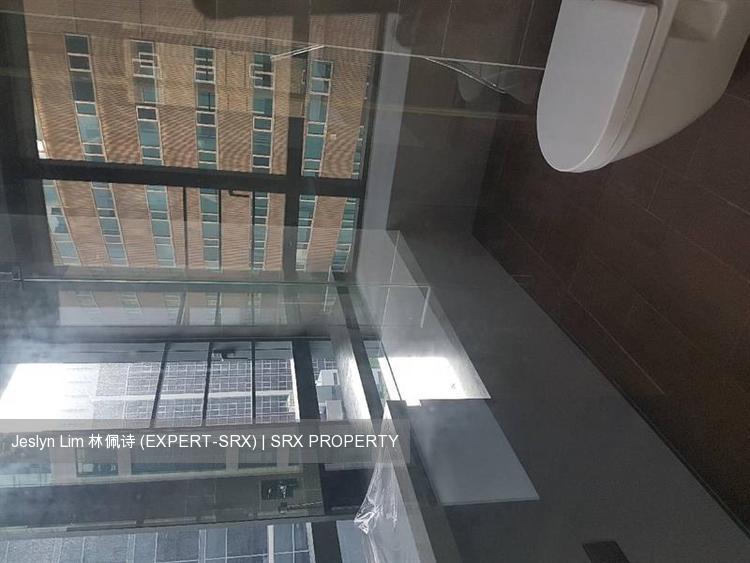 Skysuites@Anson (D2), Apartment #211089131